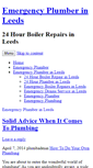 Mobile Screenshot of plumber-service.wotzine.com
